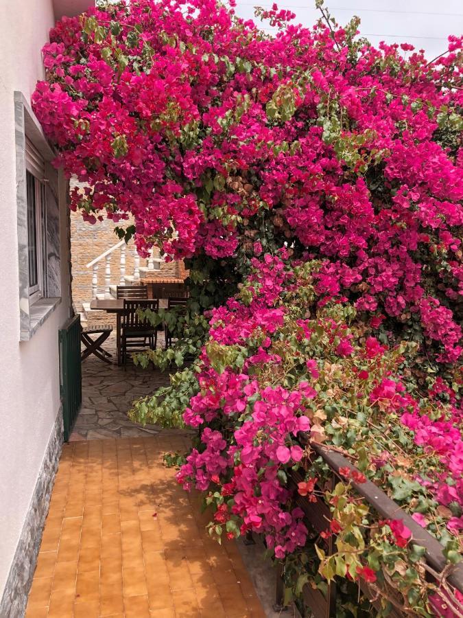 Bed and Breakfast lagun Santo Isidoro Exterior foto
